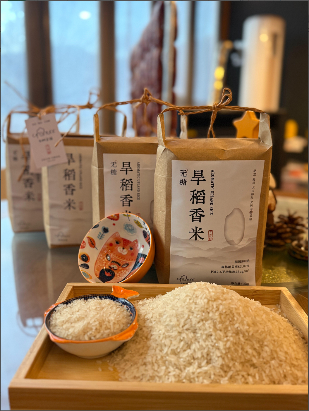 无糖旱稻主推图